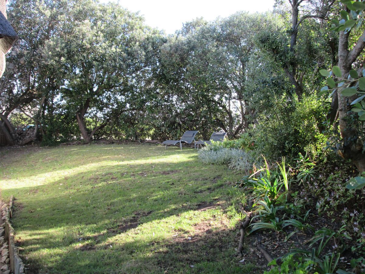 Birdsong Cottage St Francis Bay Εξωτερικό φωτογραφία
